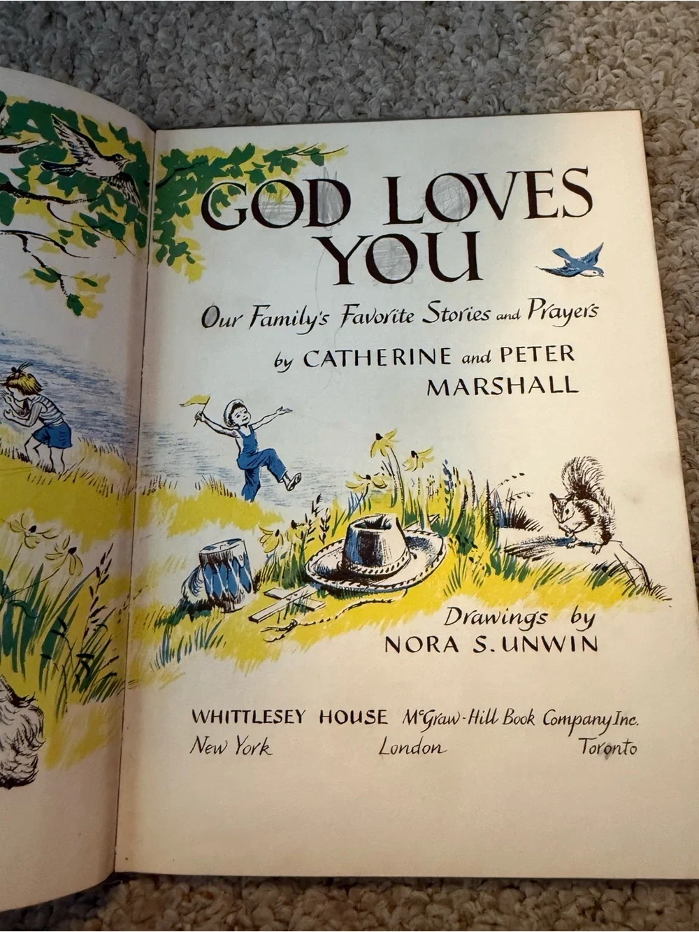 Vintage Blue Clothbound Book with White Line Illustration